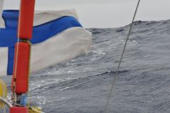 Wind flyes Finnish flag